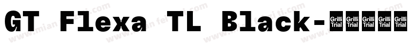 GT Flexa TL Black字体转换
